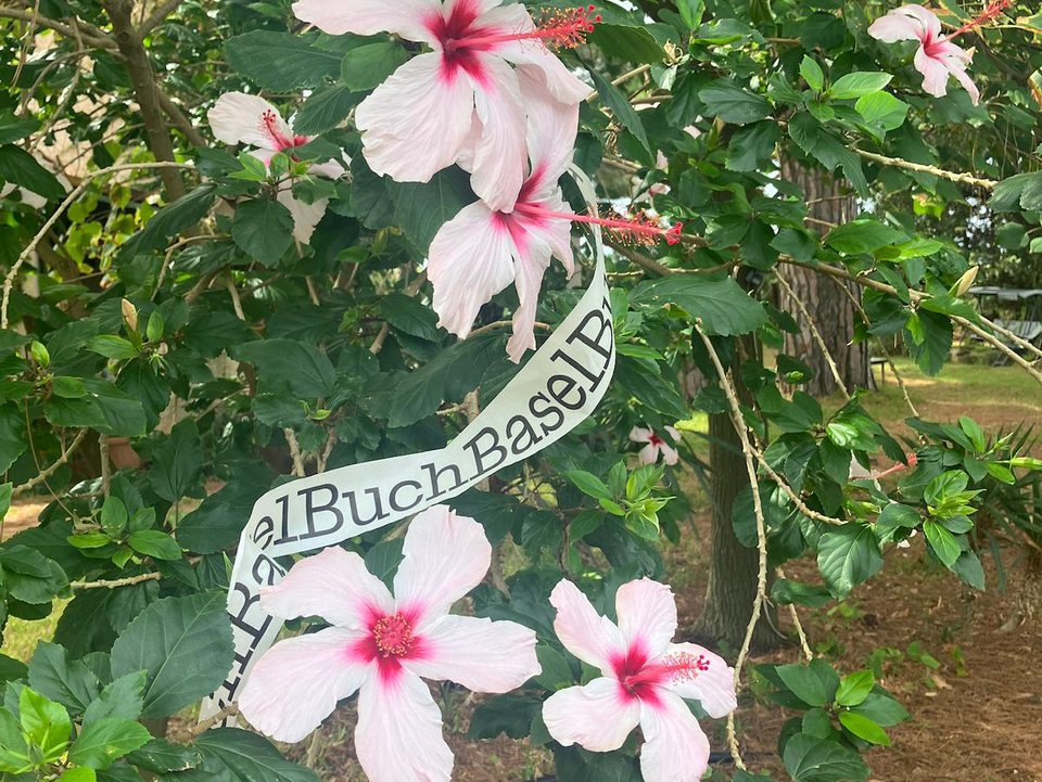Blumen_Alice_2
